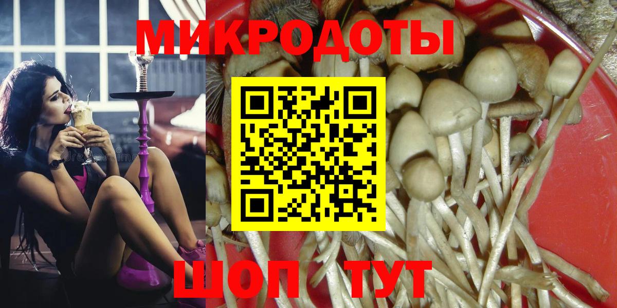 Галлюциногенные грибы Psilocybine cubensis Воронеж